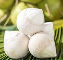 CocoNut